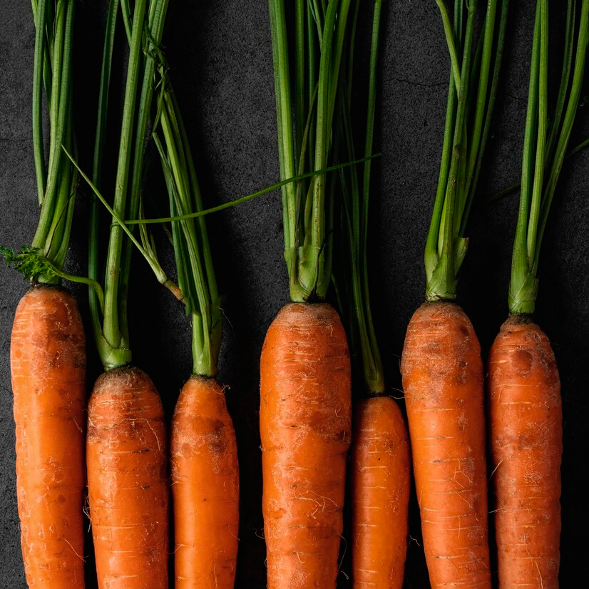 Carrot